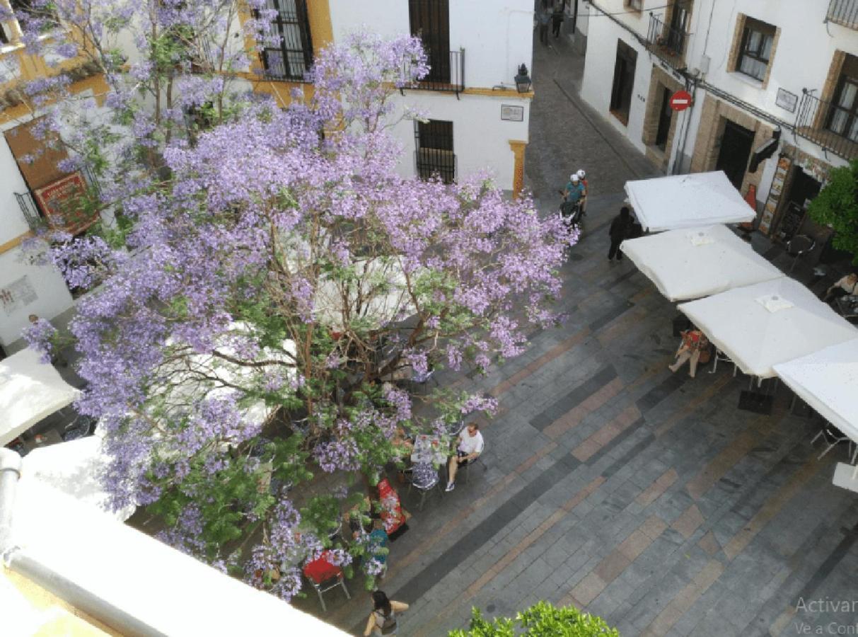 La Casa De La Musica Leilighet Córdoba Eksteriør bilde